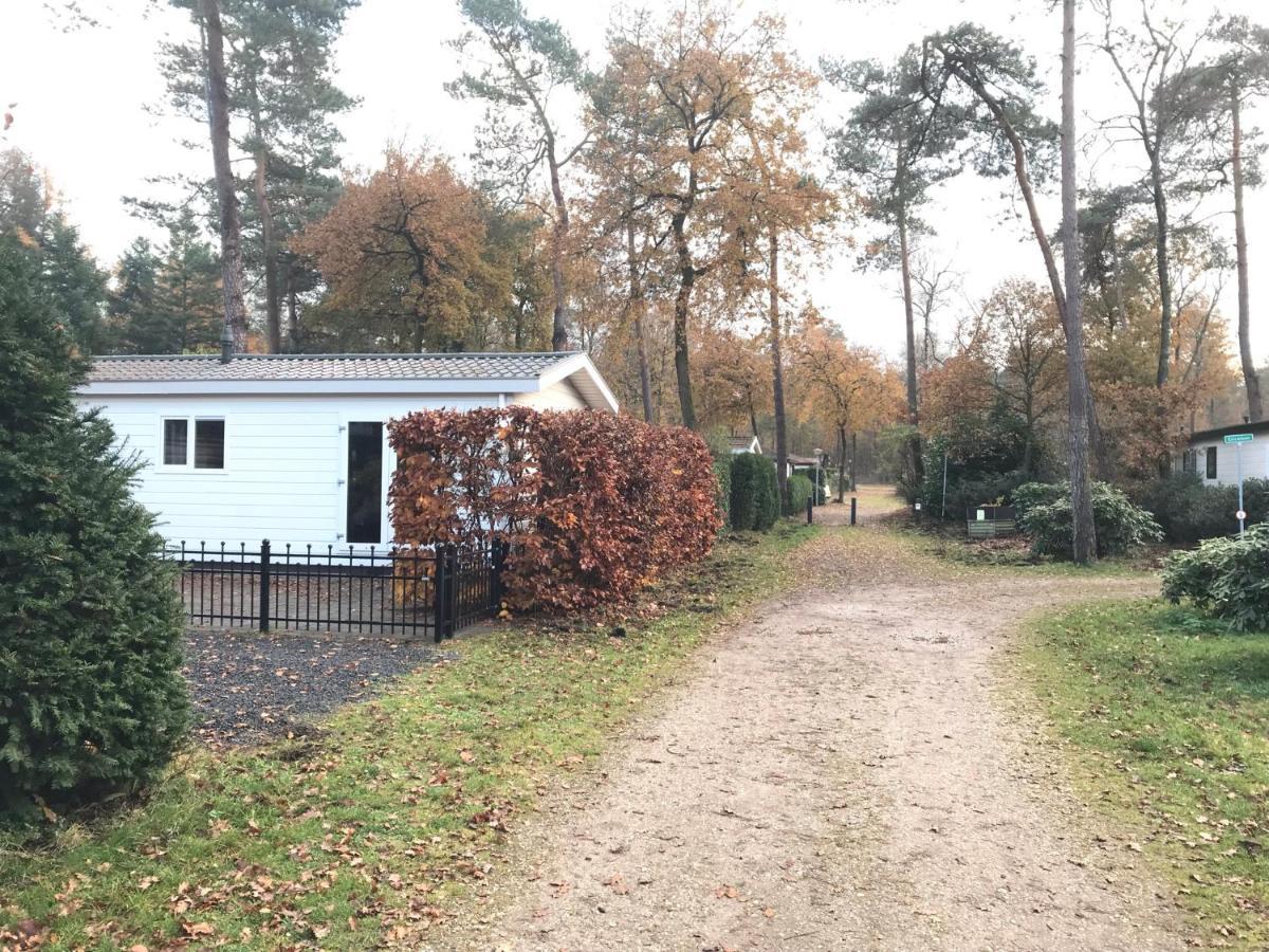 Chalet Bosrand 42 Park Veluwshof 6 P Hoenderloo Kültér fotó